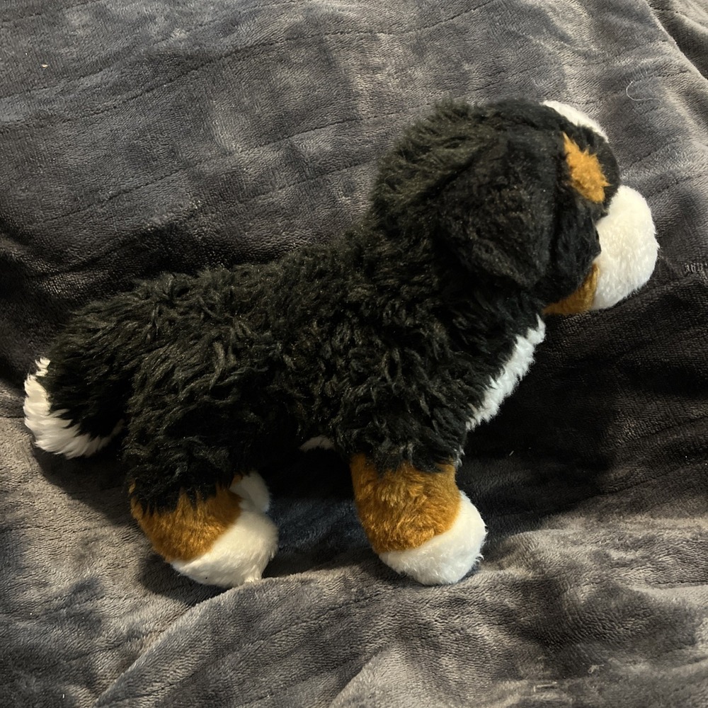 Douglas Cuddle Toys Stevie The Bernese Mountain Dog 10" Stuffed Plush #1710 - Picture 3 of 7